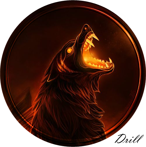 Drill's Wolf skin