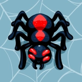 spider skin