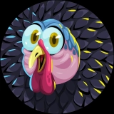 thanksgiving-turkey skin