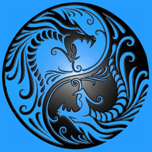 Yin Yang Dragons skin